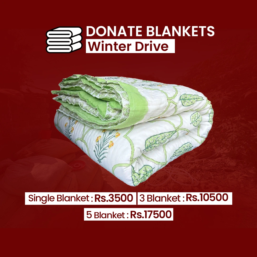 Blankets - Winter Drive