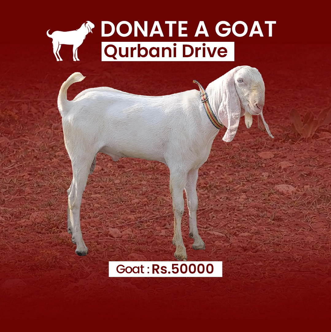 Goat Donation - Qurbani Drive
