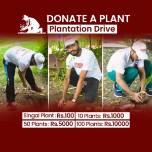 Plantation Drive
