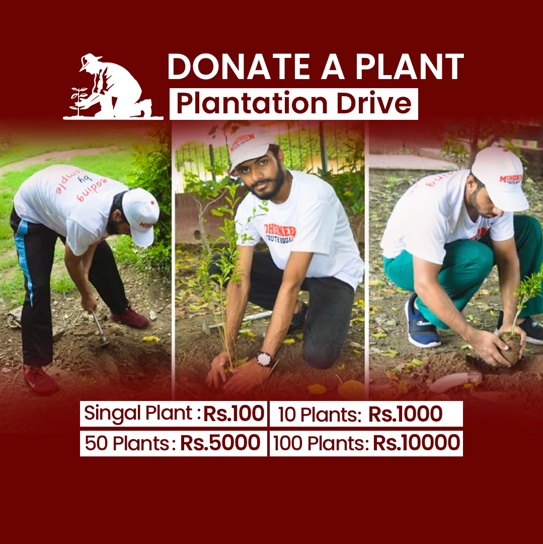 Plantation Drive