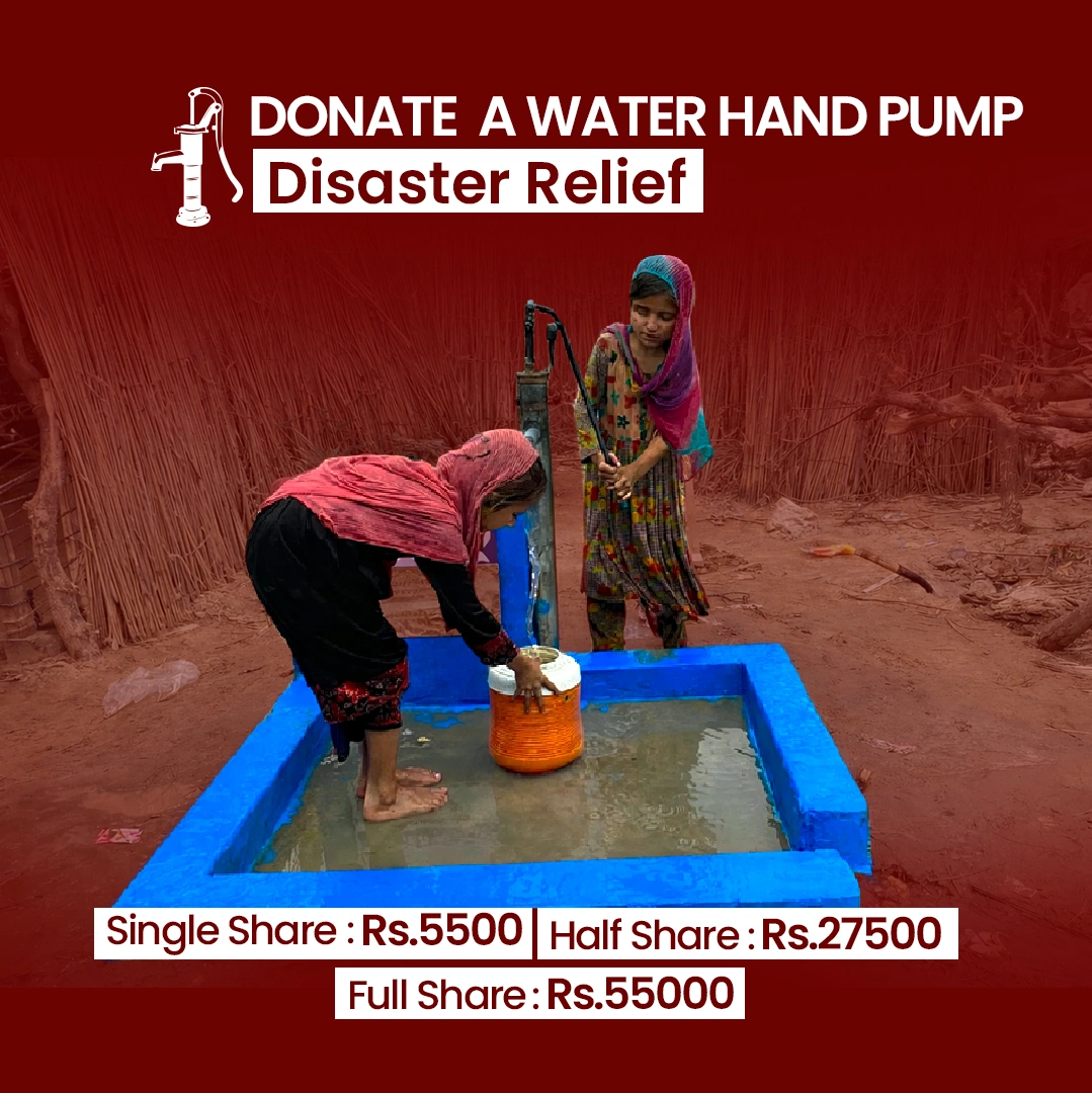 Water Hand Pump (Disaster Relief)