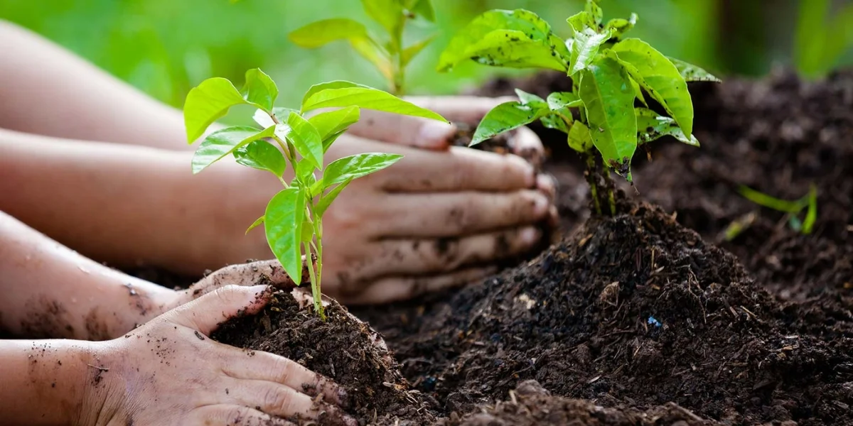 Untitled design (6) (1)